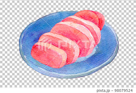 飛騨高山　伝統野菜　赤かぶ漬け　水彩イラスト 98079524