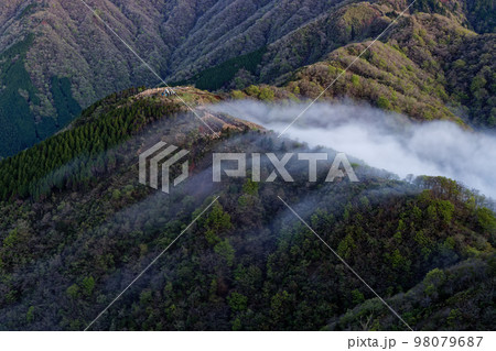 未明の丹沢・三ノ塔から見る表尾根を越す滝雲 98079687