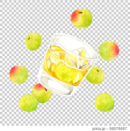 玻璃杯中的梅酒（岩石）和青梅飲料和水果手繪水彩插圖素材 98079887