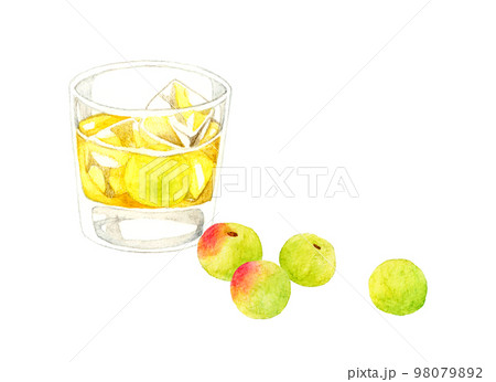グラスに入った梅酒(ロック)と青梅 飲み物とフルーツの手描き水彩イラスト素材 グラスに入った梅酒(ロック)と青梅 飲み物とフルーツの手描き水彩イラスト素材 98079892