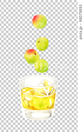 玻璃杯中的梅酒（岩石）和青梅飲料和水果手繪水彩插圖素材 98079893