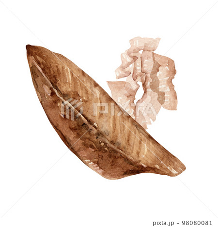 鰹節 かつお節 出汁 ダシ 和食 水彩 イラストのイラスト素材