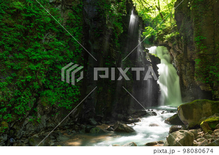 【栃木県】初夏のスッカン沢_雄飛の滝_11 98080674