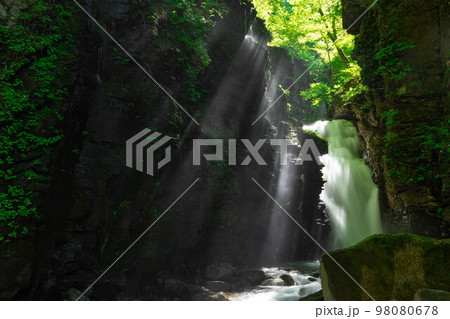 【栃木県】初夏のスッカン沢_雄飛の滝_13 【栃木県】初夏のスッカン沢_雄飛の滝_13 98080678