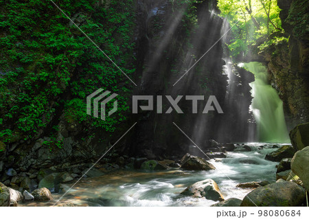 【栃木県】初夏のスッカン沢_雄飛の滝_18 【栃木県】初夏のスッカン沢_雄飛の滝_18 98080684