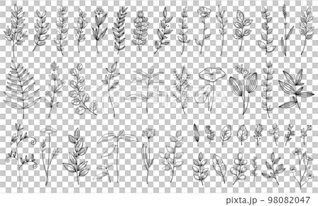 繊細な植物や花のボタニカル線画セット ベクター素材 繊細な植物や花のボタニカル線画セット ベクター素材 98082047