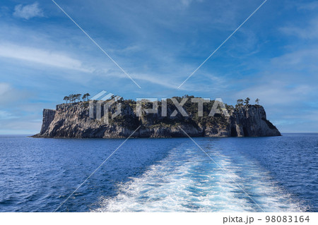 済州島 島 蚊島 98083164