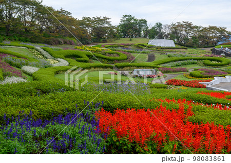 みちのく公園・彩のひろば(宮城県) みちのく公園・彩のひろば(宮城県) 98083861