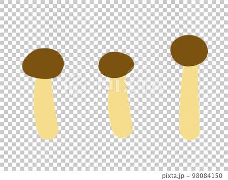 かわいいキノコのシメジのセット／手描きイラスト素材 98084150