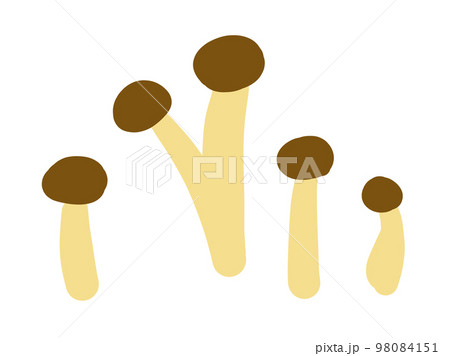 かわいいキノコのシメジのセット／手描きイラスト素材 98084151