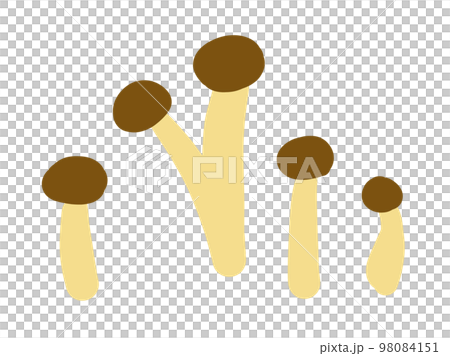 かわいいキノコのシメジのセット／手描きイラスト素材 98084151