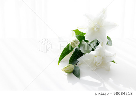 背景用　切り花　百合の花 98084218