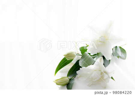 背景用　切り花　百合の花 98084220