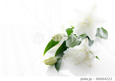背景用　切り花　百合の花 98084221