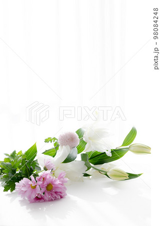 背景用　切り花　百合の花 98084248