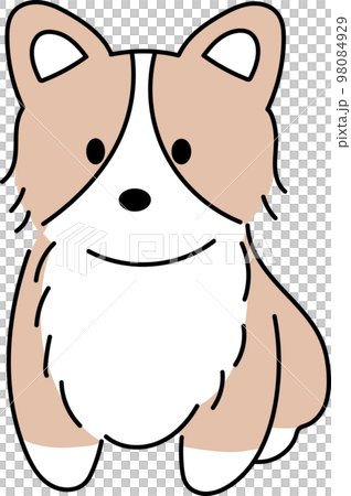 cute corgi 98084929