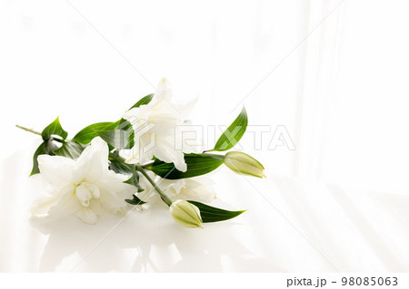 背景用　切り花　百合の花 98085063
