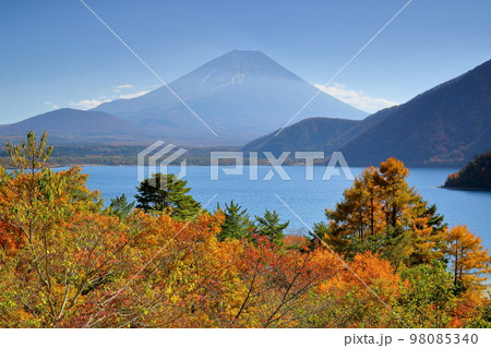 山梨県南巨摩郡身延町中ノ倉　本栖湖展望公園からの富士山と湖畔の紅葉 98085340