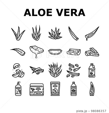 aloe vera nature green care icons set vector 98086357