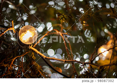 クリスマスツリーのライティング 98087302