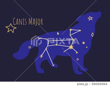 Constellation of canis major star formation of dog Constellation of canis major star formation of dog 98088068