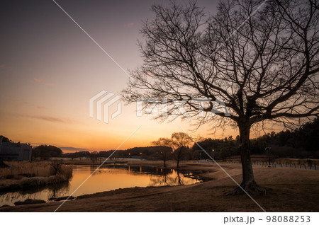 茨城県水戸市　仙波湖夕景 98088253