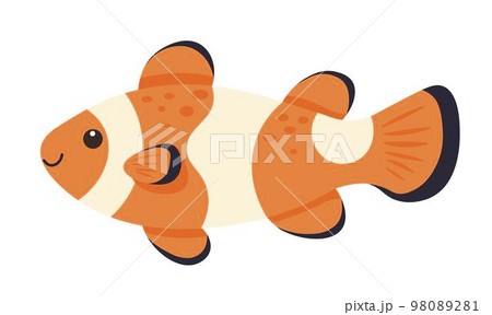 Clown loach fish, aquatic tropical animals vector 98089281