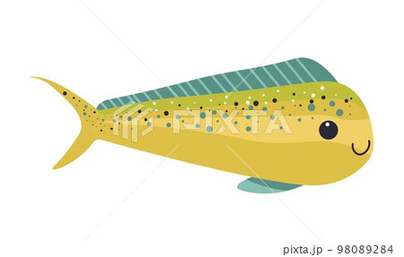 Fish for aquarium, aquatic animal type vector Fish for aquarium, aquatic animal type vector 98089284
