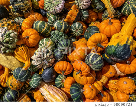 Background of various decorative small pumpkins from above. 98090723
