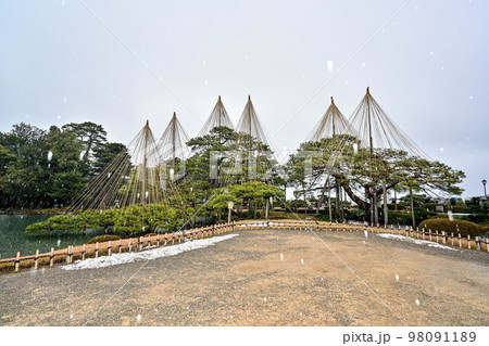 雪が舞う冬の兼六園 98091189