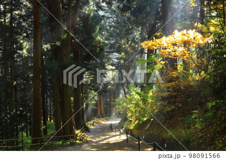 世界遺産　岩手県平泉町　秋の中尊寺 98091566