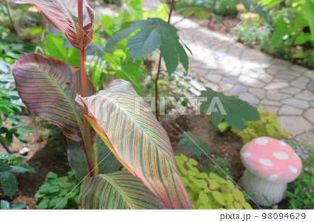 草木に囲まれたキノコのオブジェ 98094629