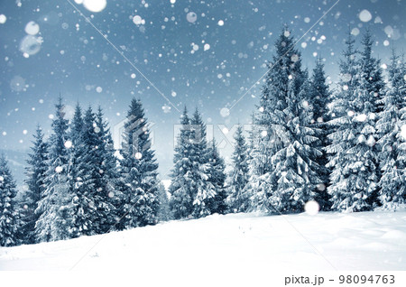 Christmas background with snowy fir trees 98094763