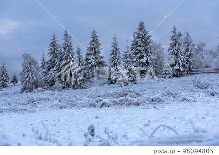 Beautiful winter landscape with snow covered trees Beautiful winter landscape with snow covered trees 98094805