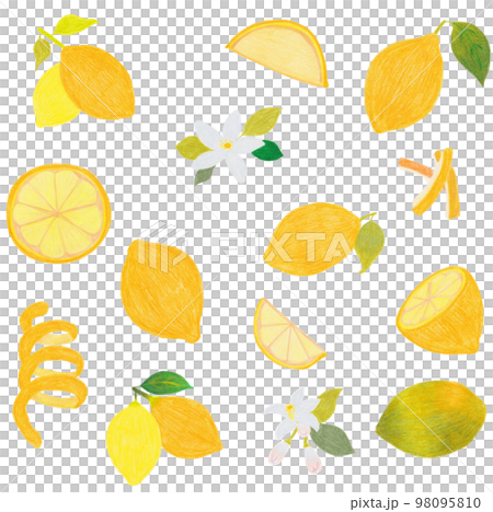 Lemon set hand-drawn with colored pencils Lemon set hand-drawn with colored pencils 98095810