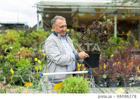 Caucasian man choosing sprouts in garden center Caucasian man choosing sprouts in garden center 98096278