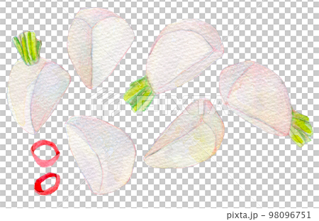 水彩イラスト　カブのお漬物　つけもの 98096751