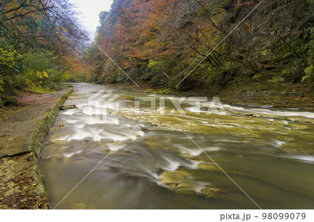 千葉県 養老渓谷・養老川 「粟又の滝自然遊歩道」/ Yoro River, Japan 98099079