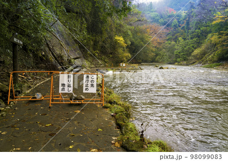 千葉県 養老渓谷・養老川 「粟又の滝自然遊歩道」/ Yoro River, Japan 98099083