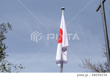 日本の国旗 日本の国旗 98099256