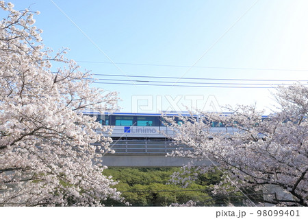 リニモと桜（愛知県 長久手市 ） 98099401
