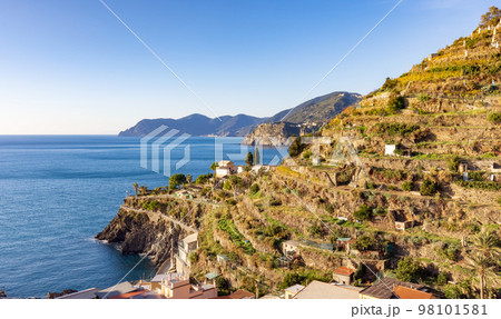 Small touristic town on the coast and farmland, Manarola, Italy. Cinque Terre 98101581