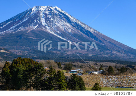 富士ヶ嶺の田園風景と富士山の絶景 富士ヶ嶺の田園風景と富士山の絶景 98101787
