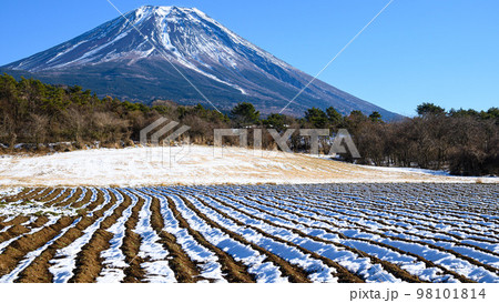 富士ヶ嶺の田園と富士山・雪景色 富士ヶ嶺の田園と富士山・雪景色 98101814