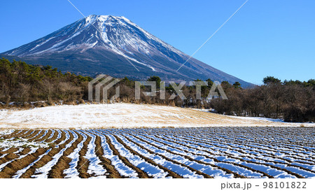 富士ヶ嶺の田園と富士山・雪景色 98101822
