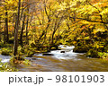 秋の奥入瀬渓流 98101903