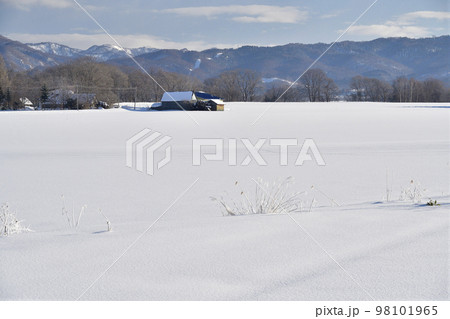 冬の北海道厚沢部町で雪原の風景を撮影 冬の北海道厚沢部町で雪原の風景を撮影 98101965