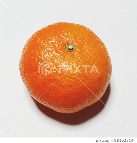 みかん みかん 98102514