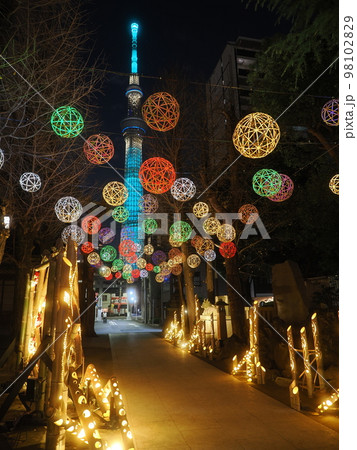 東京・牛嶋神社のイルミネーション 東京・牛嶋神社のイルミネーション 98102829