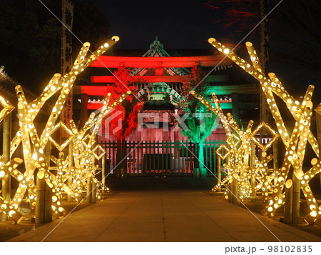 東京・牛嶋神社のイルミネーション 98102835